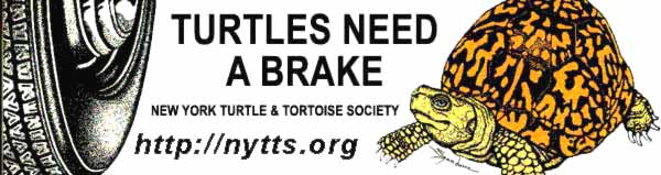 bumper sticker
