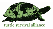 TurtleSurvival.org