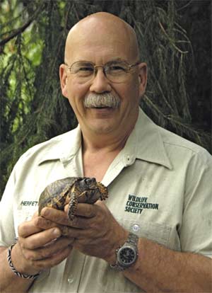 Bill Holmstrom with eastern box turtle