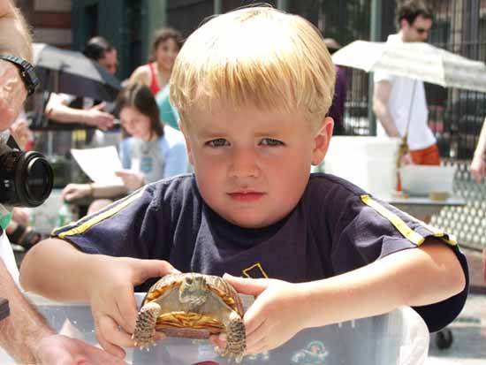 Boy with ornate box turtle