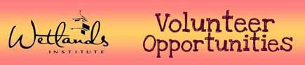 Volunteer Opportunities at the Wetlands Institute