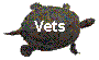 The NYTTS Vet List  A Directory of Veterinarians Who Treat Turtles