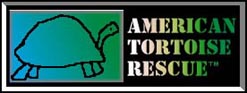 American Tortoise Rescue