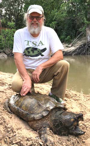 George Heinrich with alligator snapping turtle