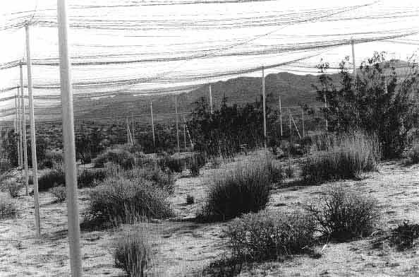 Predator-proof enclosure